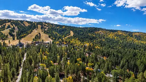 View/Area - 656 Saint Moritz Dr, Big Bear Lake, CA 92315 photo 1 of 4