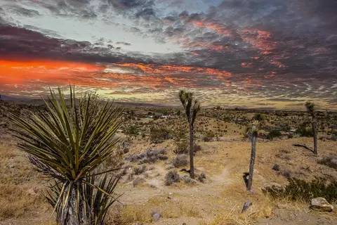 Other - 5098 Balsa Ave, Yucca Valley, CA 92284 photo 9 of 12