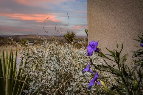 Exterior - 5098 Balsa Ave, Yucca Valley, CA 92284 photo 10 of 20