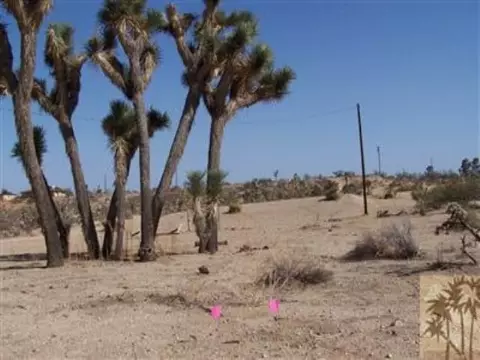 57979 Sunflower Dr, Yucca Valley, CA 92284 photo 1