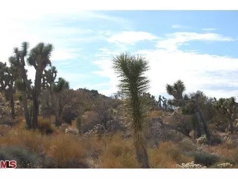 6735 Mount Lassen Ave, Joshua Tree, CA 92252 photo 1