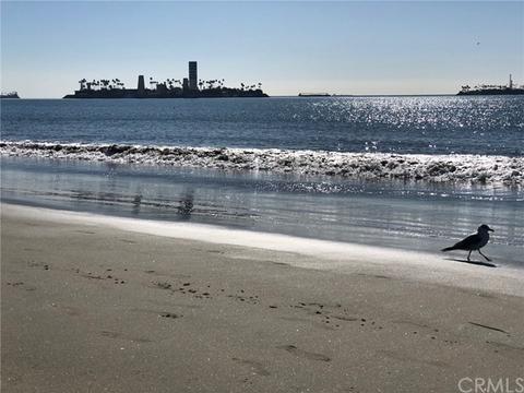 117 N Edison Pl, Long Beach, CA 90802 photo 11