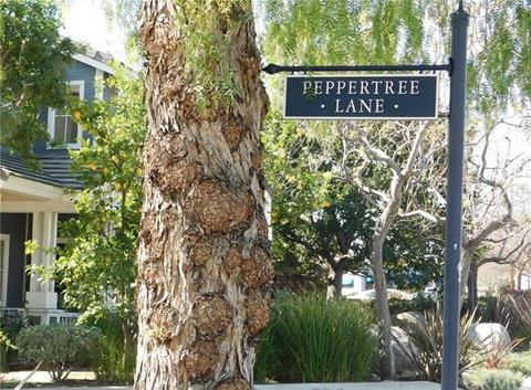 113 Peppertree Ln, Monrovia, CA 91016 photo 5