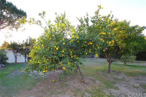 1025 S 6th Ave, Arcadia, CA 91006 photo 25