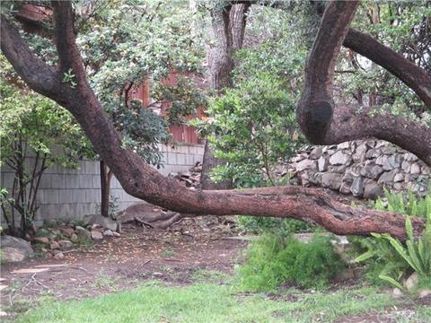 6252 Delfino, Tujunga, CA 91042 photo 8