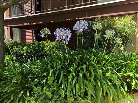 1809 Peyton Ave #310, Burbank, CA 91504 photo 38