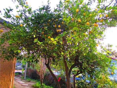 20875 Marcon Dr, Walnut, CA 91789 photo 19