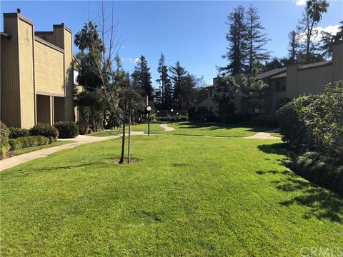 277 Rosemont Ave, Pasadena, CA 91103 photo 25