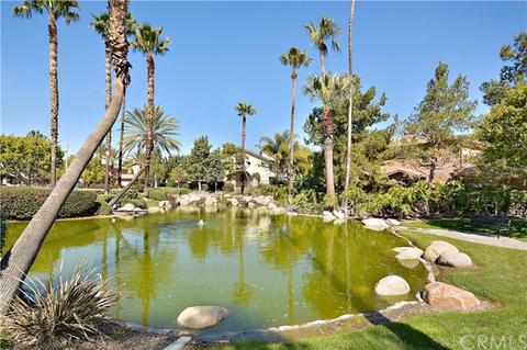 11539 Streampoint Dr, Riverside, CA 92505 photo 44