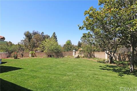 2533 Mountain Dr, Upland, CA 91784 photo 40