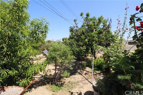 10878 Birch Ave, Bloomington, CA 92316 photo 29