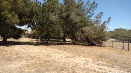 7637 Hemlock Ave, Hesperia, CA 92345 photo 12
