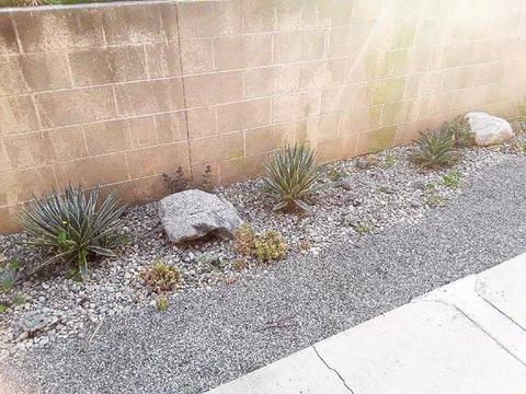 337 Lime Ave #6, Long Beach, CA 90802 photo 31