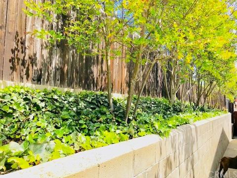9639 Saluda Ave, Tujunga, CA 91042 photo 25
