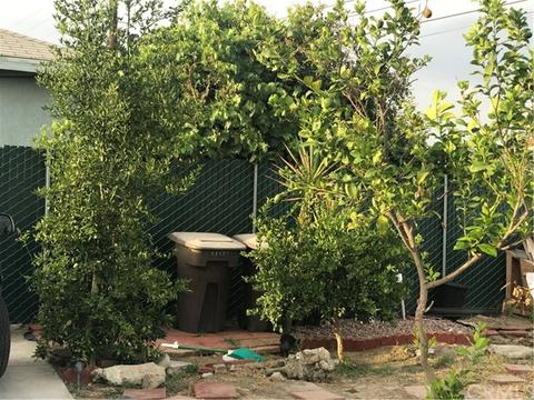 745 E G St, Colton, CA 92324 photo 10