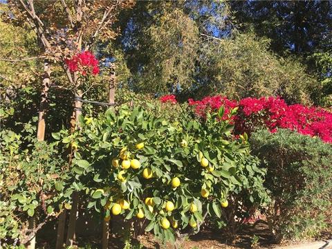 621 Center Crest Dr, Redlands, CA 92373 photo 39