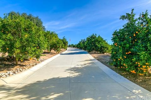 1625 Marion Rd, Redlands, CA 92374 photo 3