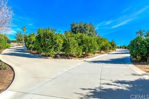 1625 Marion Rd, Redlands, CA 92374 photo 2