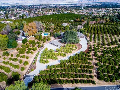 1625 Marion Rd, Redlands, CA 92374 photo 50