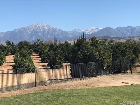 1509 Marion Rd, Redlands, CA 92374 photo 53
