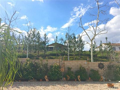 311 Spanos Park, Beaumont, CA 92223 photo 39