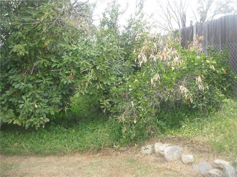 836 W Montrose St, Bloomington, CA 92316 photo 24