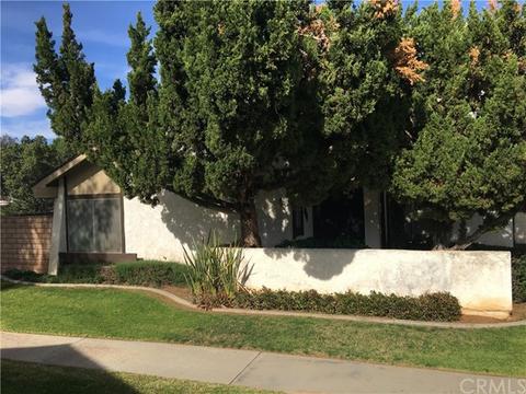 913 E Palm Ave, Redlands, CA 92374 photo 36