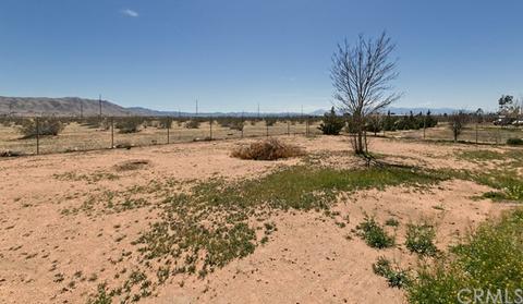 22281 Miramot Rd, Apple Valley, CA 92308 photo 5