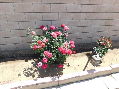8394 Donna Way, Riverside, CA 92509 photo 34