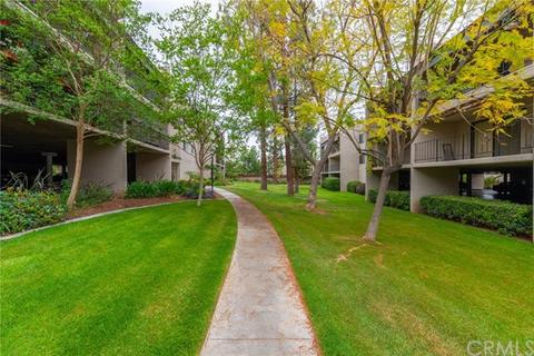 242 E Fern Ave #209, Redlands, CA 92373 photo 3