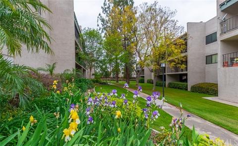 242 E Fern Ave #209, Redlands, CA 92373 photo 22