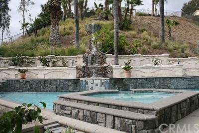 7605 Streater Ave, Highland, CA 92346 photo 44