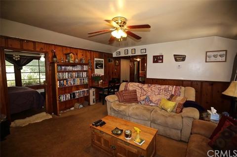 39543 Canyon Dr, Forest Falls, CA 92339 photo 3