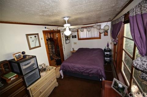 39543 Canyon Dr, Forest Falls, CA 92339 photo 5
