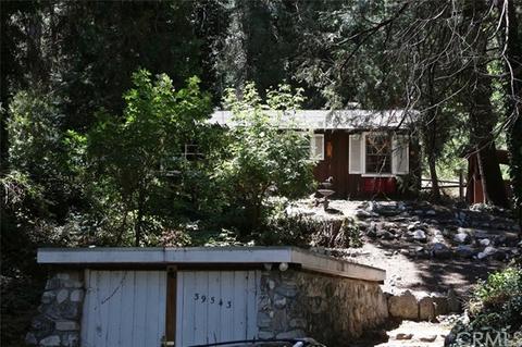 39543 Canyon Dr, Forest Falls, CA 92339 photo 11