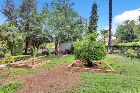 446 S Buena Vista St, Redlands, CA 92373 photo 23