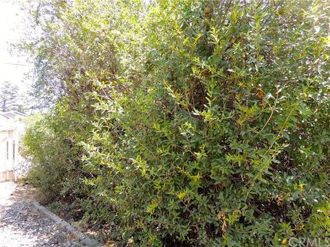 769 W E St, Colton, CA 92324 photo 21
