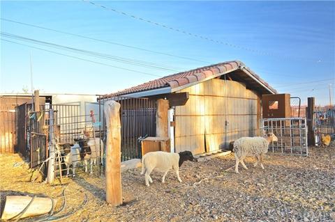 13615 Aster Rd, Victorville, CA 92392 photo 35