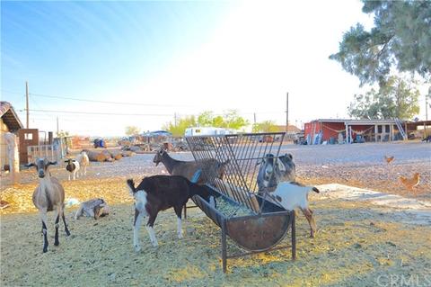 13615 Aster Rd, Victorville, CA 92392 photo 8