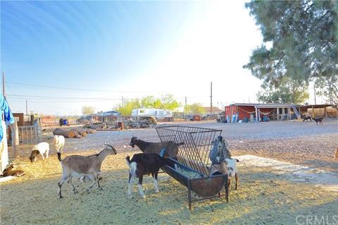 13615 Aster Rd, Victorville, CA 92392 photo 29