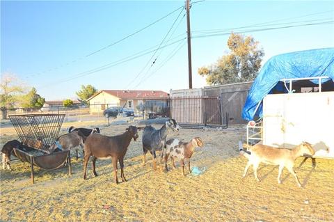 13615 Aster Rd, Victorville, CA 92392 photo 36