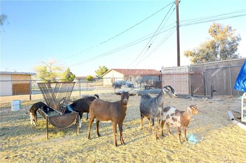 13615 Aster Rd, Victorville, CA 92392 photo 37