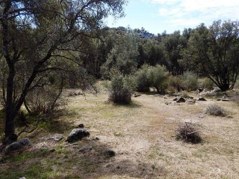 47586 Cheyenne Rd, Coarsegold, CA 93614 photo 27