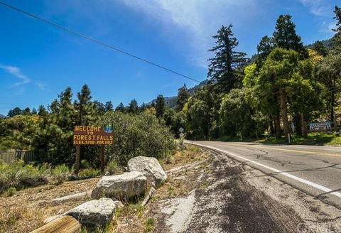 9315 Conifer Dr, Forest Falls, CA 92339 photo 60