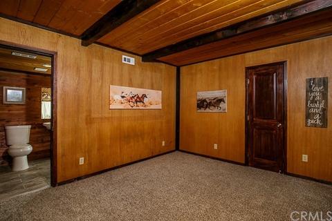 9315 Conifer Dr, Forest Falls, CA 92339 photo 21