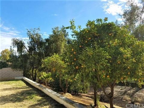 616 Via Vista Dr, Redlands, CA 92373 photo 29