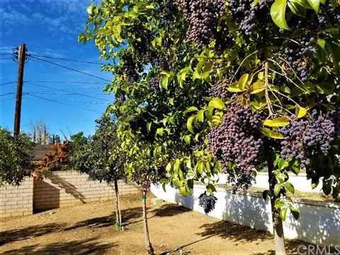 616 Via Vista Dr, Redlands, CA 92373 photo 31