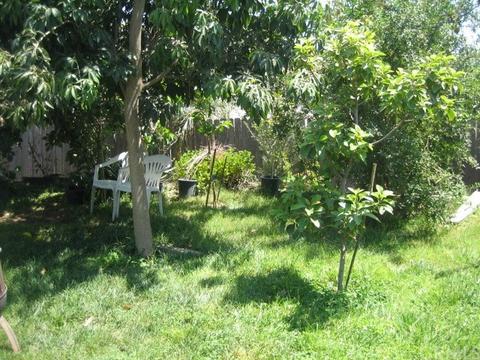7438 Eddy Ave, Riverside, CA 92509 photo 27