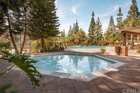 7861 Portola Rd, Rancho Cucamonga, CA 91730 photo 31