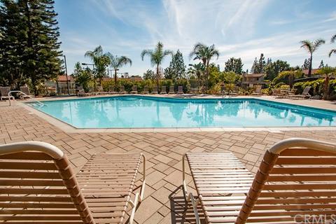 7861 Portola Rd, Rancho Cucamonga, CA 91730 photo 28